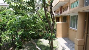 A courtyard with a tree, a pathway, and a building with a balcony. - Bamba Flat (Colombo)