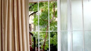 A window with a white frame and a view of a tree outside. - Bamba Flat (Colombo)