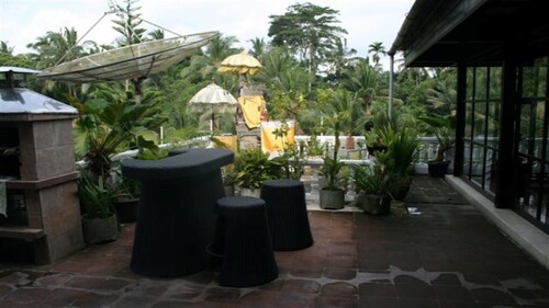 The Bungalow in the Jungle