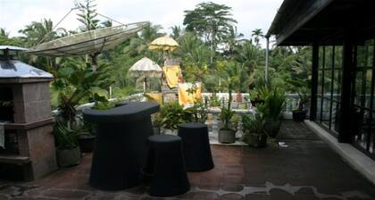 The Bungalow in the Jungle