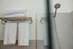 Habitación doble | Ducha del cuarto de baño