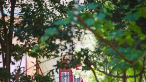 A red door with a decorative metal grille, surrounded by greenery and potted plants.