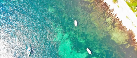 海滩