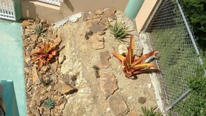 Zona de jardí amb una valla blanca de palets, una reixa de metall i diverses plantes.