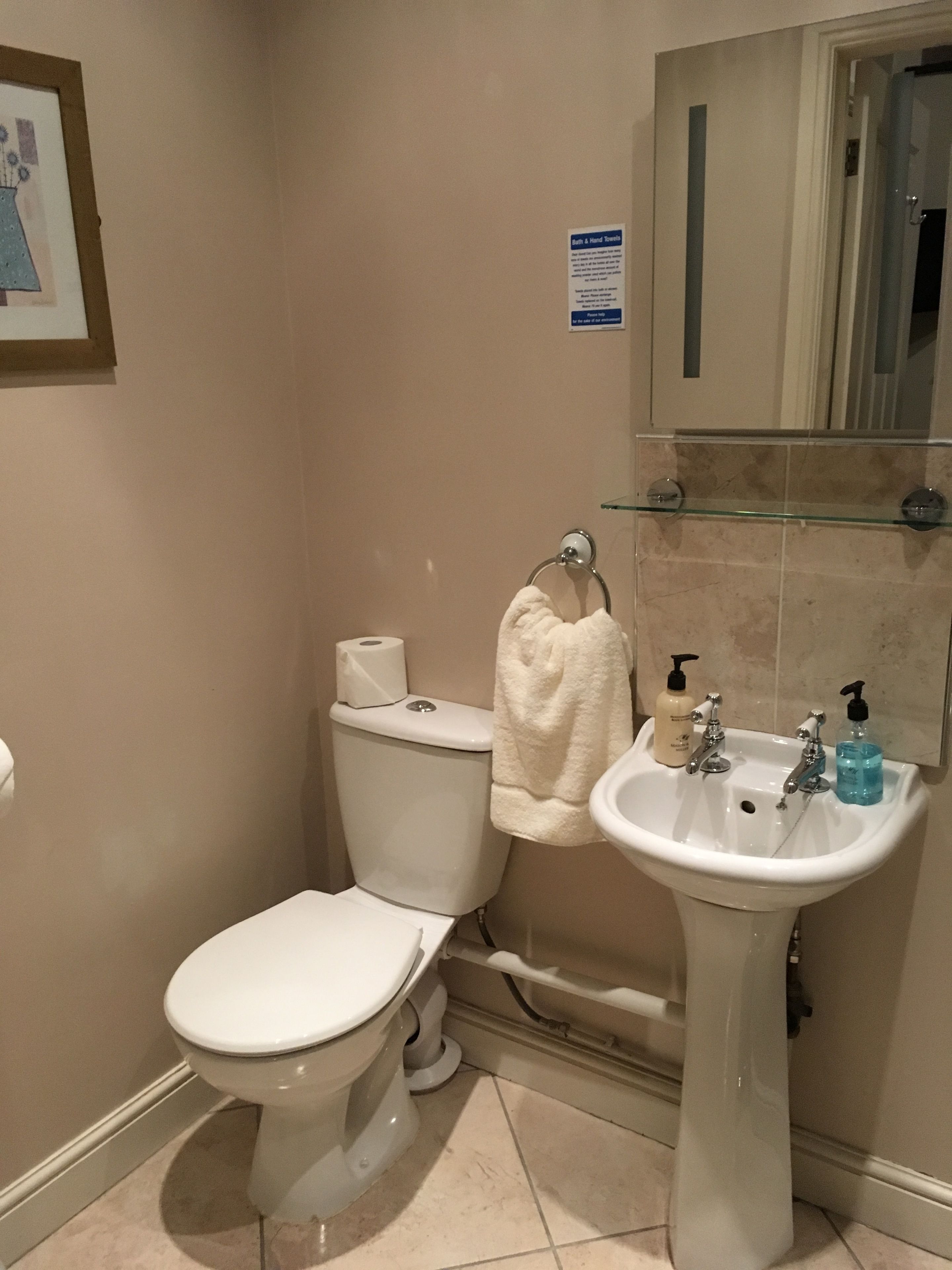 Een badkamer met toilet, wastafel en een glazen plank boven de wastafel.