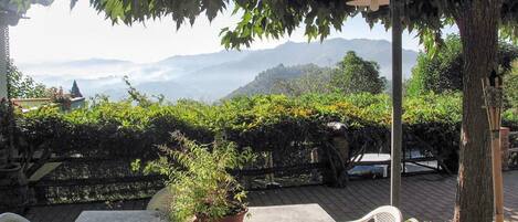 An outdoor patio with a table and chairs, surrounded by greenery and a view of distant mountains.
