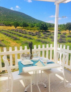 Free daily local cuisine breakfast