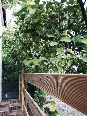 Exterior detail - Little cottage by the sea (Chalkoutsi)