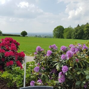Terrace/patio - Café Sonnenschein & Pension (Bad Oeynhausen)