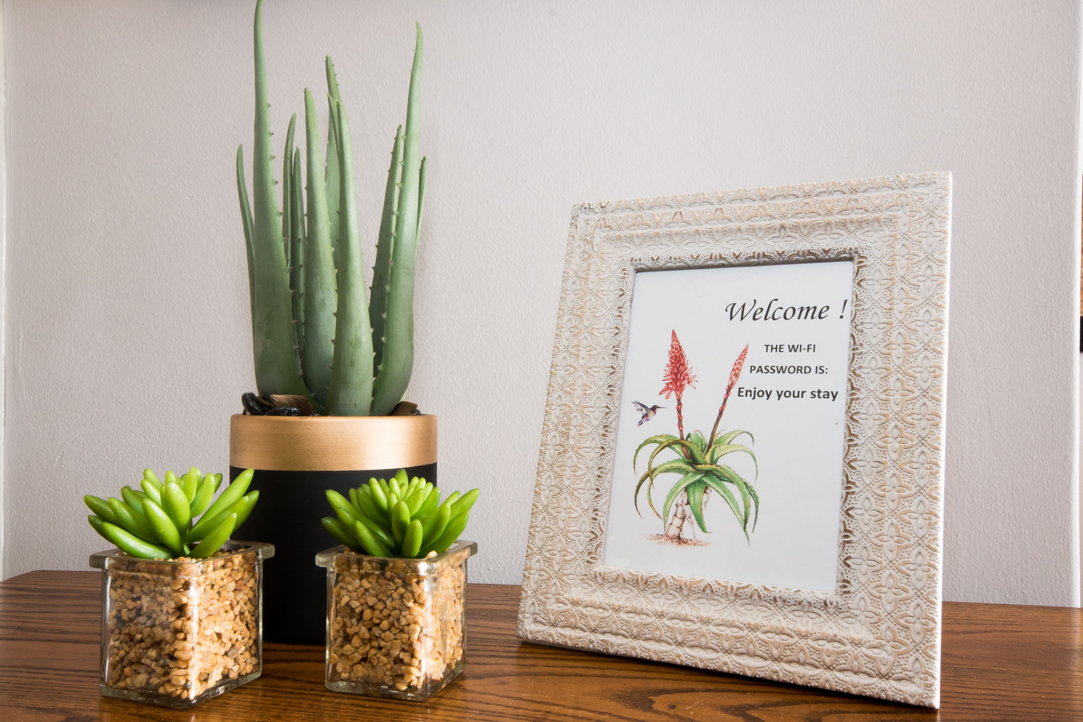 Un letrero de bienvenida en marco, con cactus y plantas suculentas.