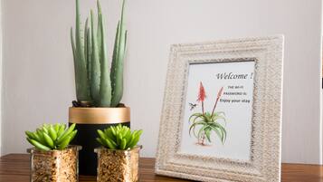 Un letrero de bienvenida en marco, con cactus y plantas suculentas.
