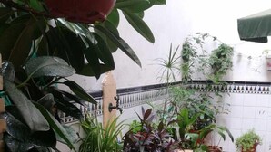 Un patio con plantas en macetas, suelo y pared de azulejos.