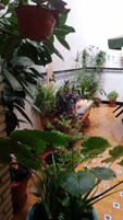 Vistas al patio