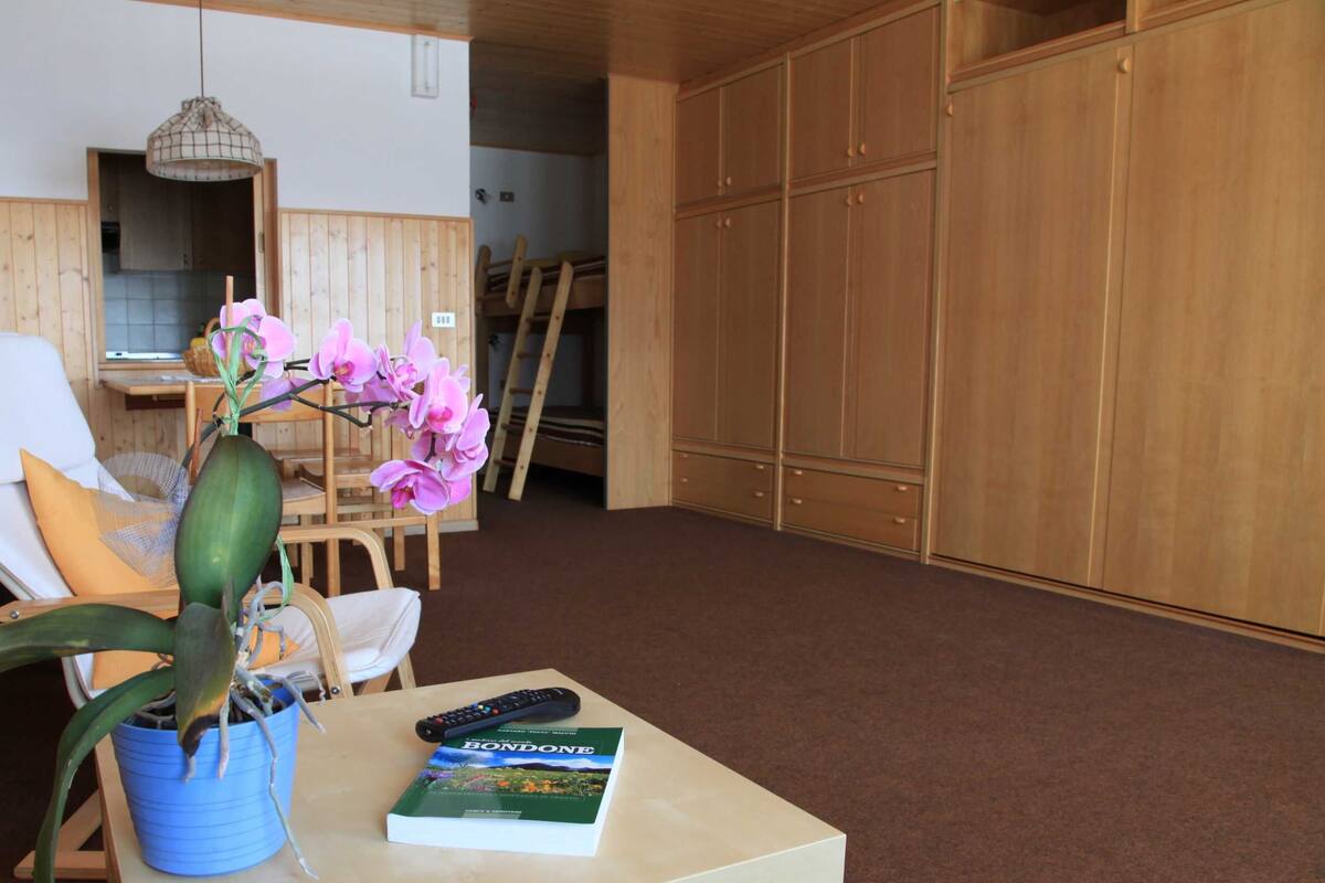Una habitación con un armario de madera, una orquídea en maceta, un control remoto y un libro sobre una mesa.