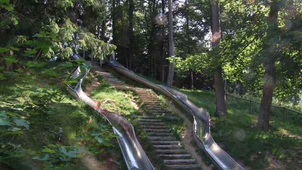A metal slide in a wooded area with steps leading up to it. - Residence Prada (Trento)