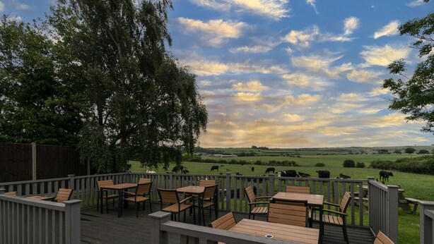 A deck with wooden furniture and a view of a green field with cows.