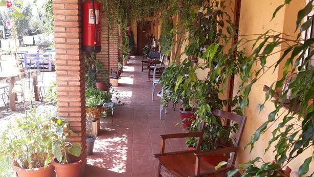 A covered outdoor seating area with potted plants and a fire extinguisher on the wall.