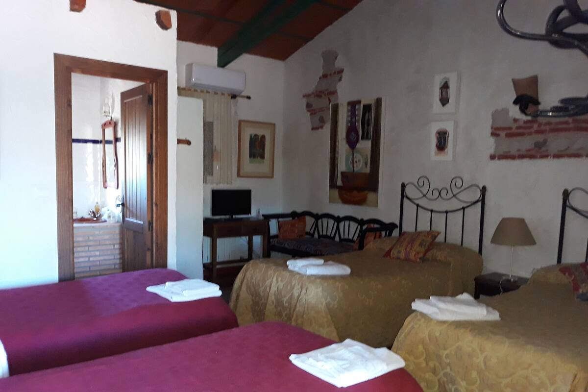 A room with two beds, a television, and a window.