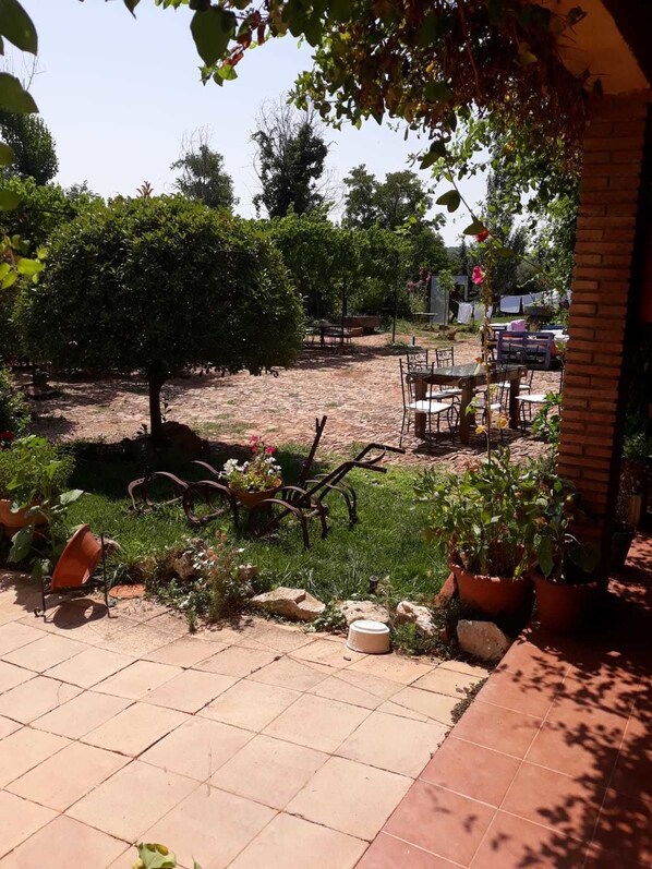 An outdoor patio area with a brick floor, surrounded by potted plants and a small table with chairs. - Casa Rural La Cimbarra (Aldeaquemada)