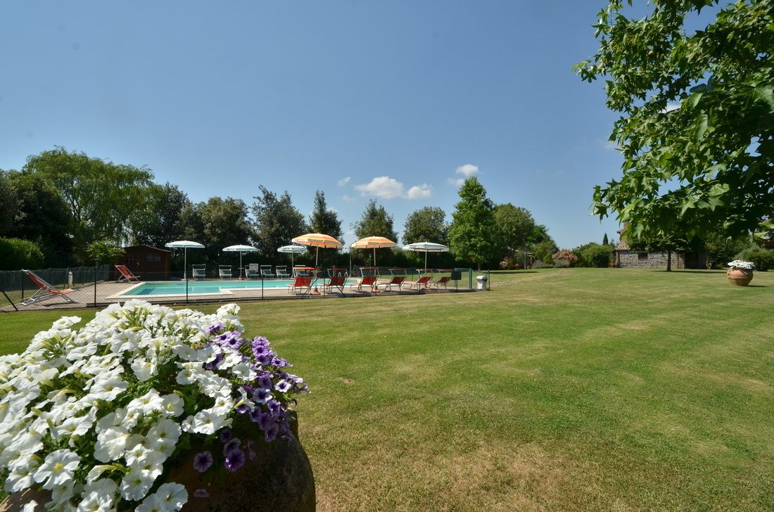 Un espace piscine agrémenté de chaises longues et de parasols, entouré de verdure et surplombé d’un ciel dégagé.