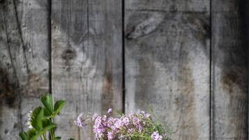 Two potted plants and a metal bell on a wooden surface.