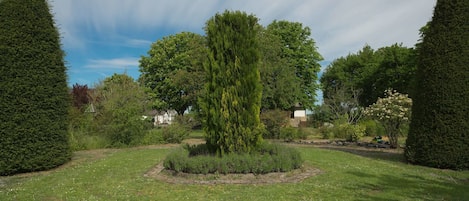 A well-maintained garden with a central tree, surrounded by neatly trimmed hedges and a variety of shrubs.