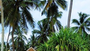 A beach with a thatched-roof hut, palm trees, and a rocky shoreline. - Karamba (Kizimkazi)