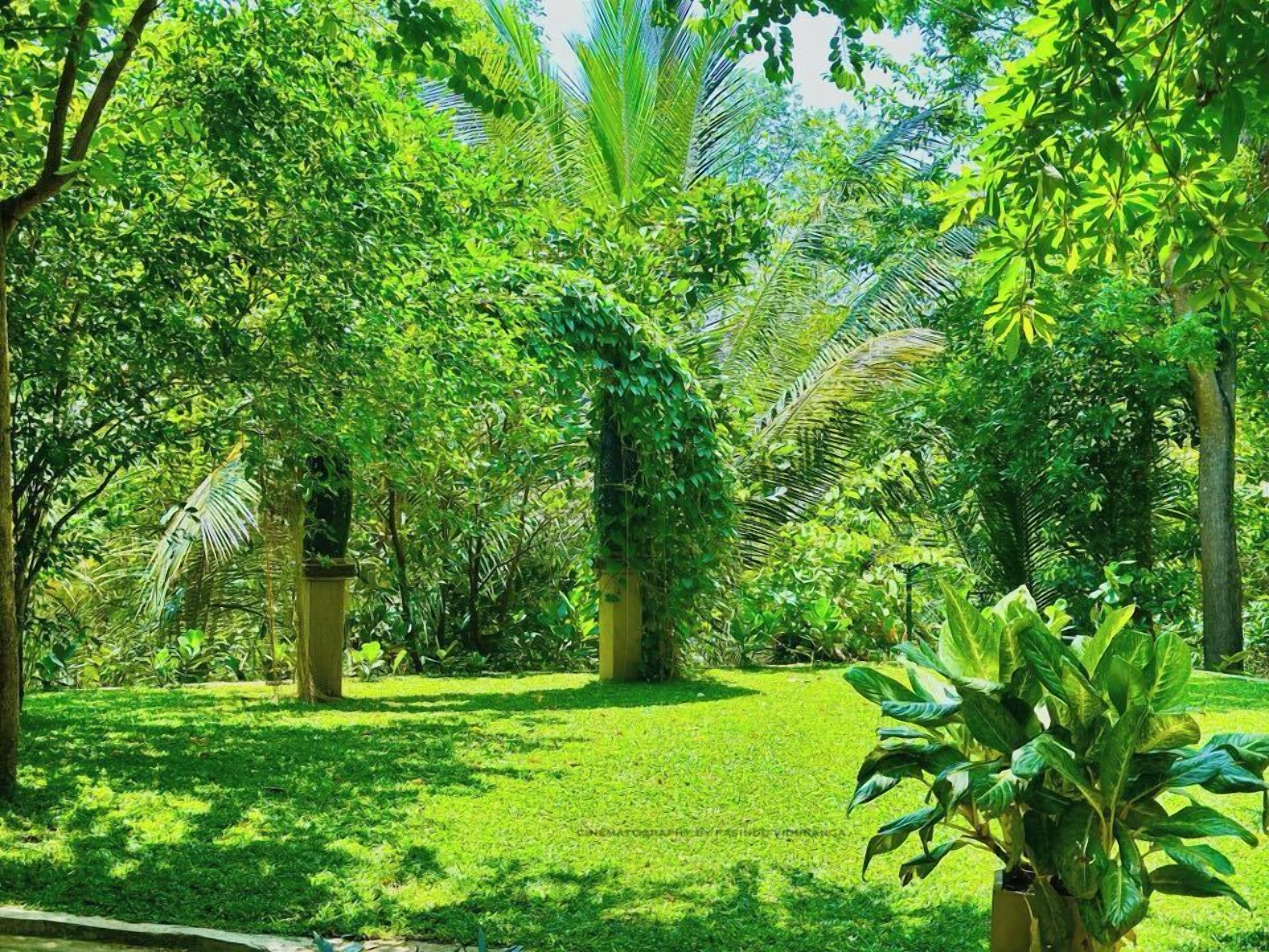 Jardín