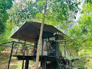 ラグジュアリー テント | 防音設備、アイロン / アイロン台、ベッドシーツ