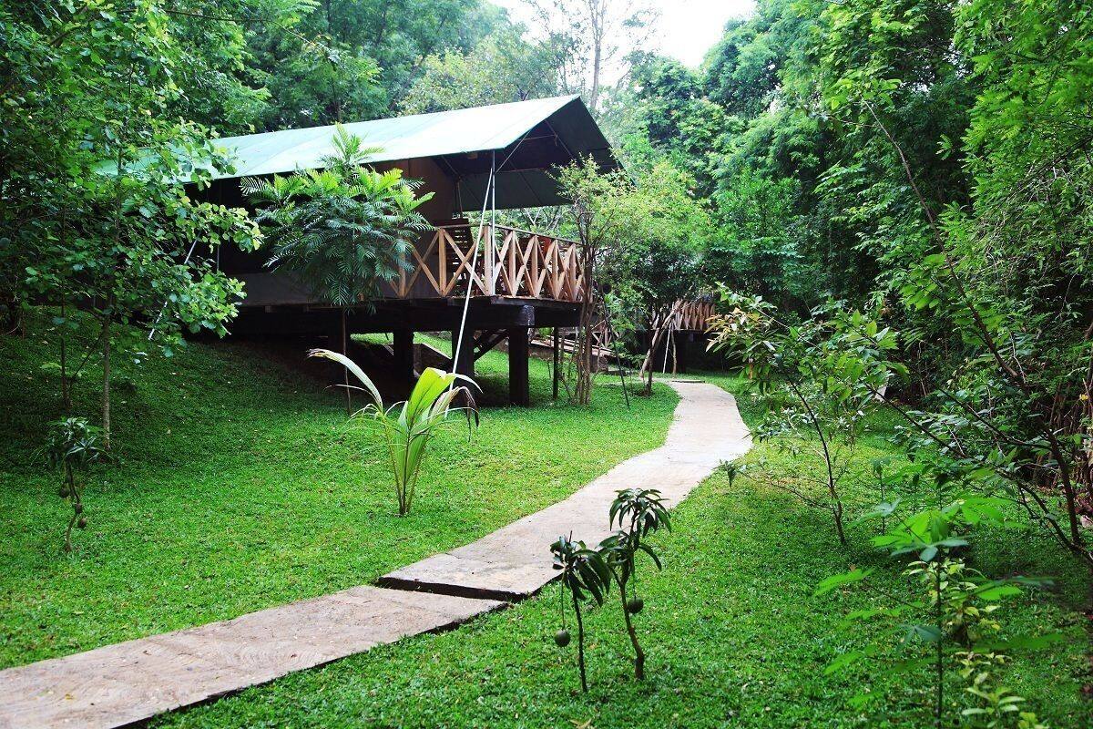 Una estructura de madera con techo, rodeada de exuberante vegetación y un sendero pavimentado.