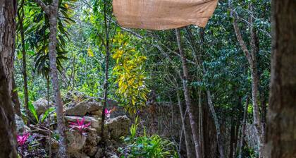 La Selva Mariposa