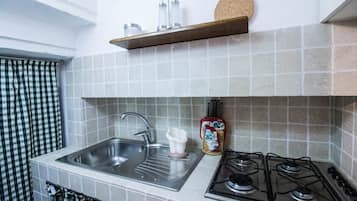 Family House, 2 Bedrooms | Private kitchen