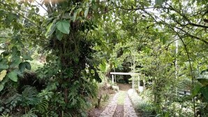 A stone pathway leading through a lush garden with dense foliage and a pergola structure. - Hotel Green Mountain Turrialba (Turrialba)