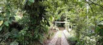 Hotel Green Mountain Turrialba