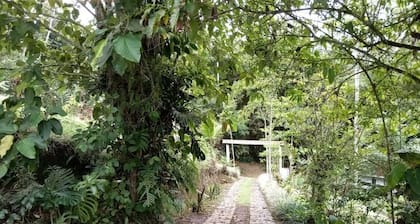Hotel Green Mountain Turrialba