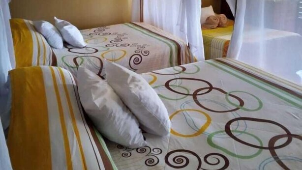 A room with two beds, each with a canopy bedspread and pillows. - Hotel Green Mountain Turrialba (Turrialba)
