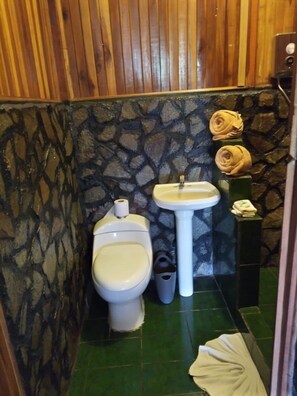 A small bathroom with a toilet, sink, and a stone wall. - Hotel Green Mountain Turrialba (Turrialba)