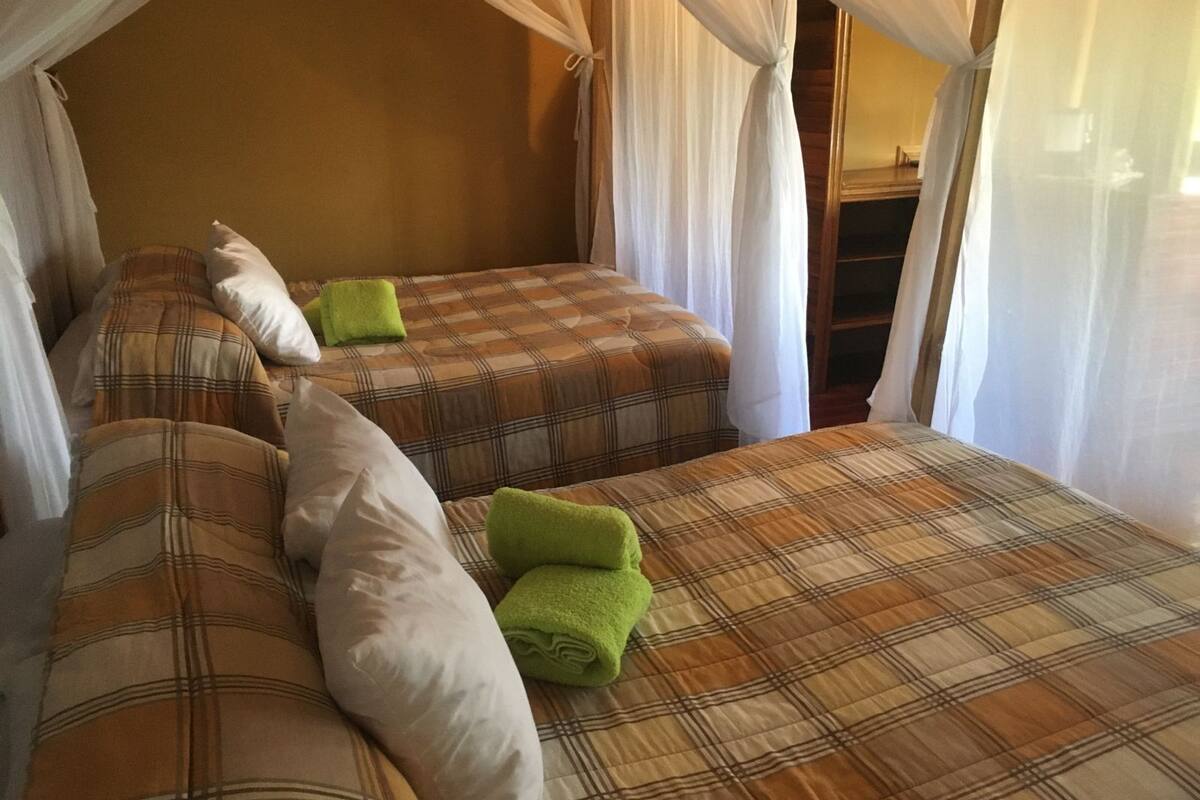 A room with two beds, each with plaid bedding and pillows, a canopy bed, and a view of a wooden structure outside.