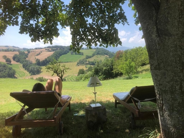 Exterior - Agriturismo Al Respiro Nel Bosco (Camporotondo di Fiastrone)