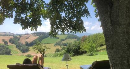 Agriturismo Al Respiro Nel Bosco