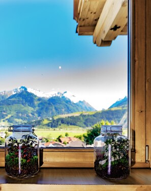 Mountain view - Landhaus Kitzblick (Piesendorf)