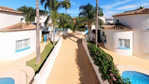 A pathway leading to a pool area with palm trees and white buildings with blue accents.