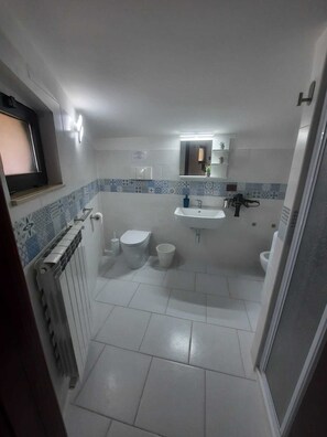 Bathtub, hair dryer, bidet, towels