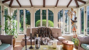 Télévision, cheminée, lecteur de DVD, livres