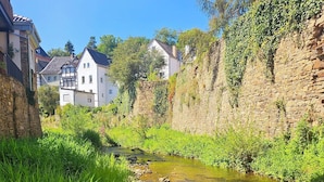 A narrow stream with clear water, surrounded by lush greenery and stone walls. - Boutique Hotel Marielle (Bad Muenstereifel)