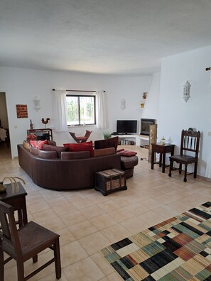 TV, fireplace, DVD player, ping pong
