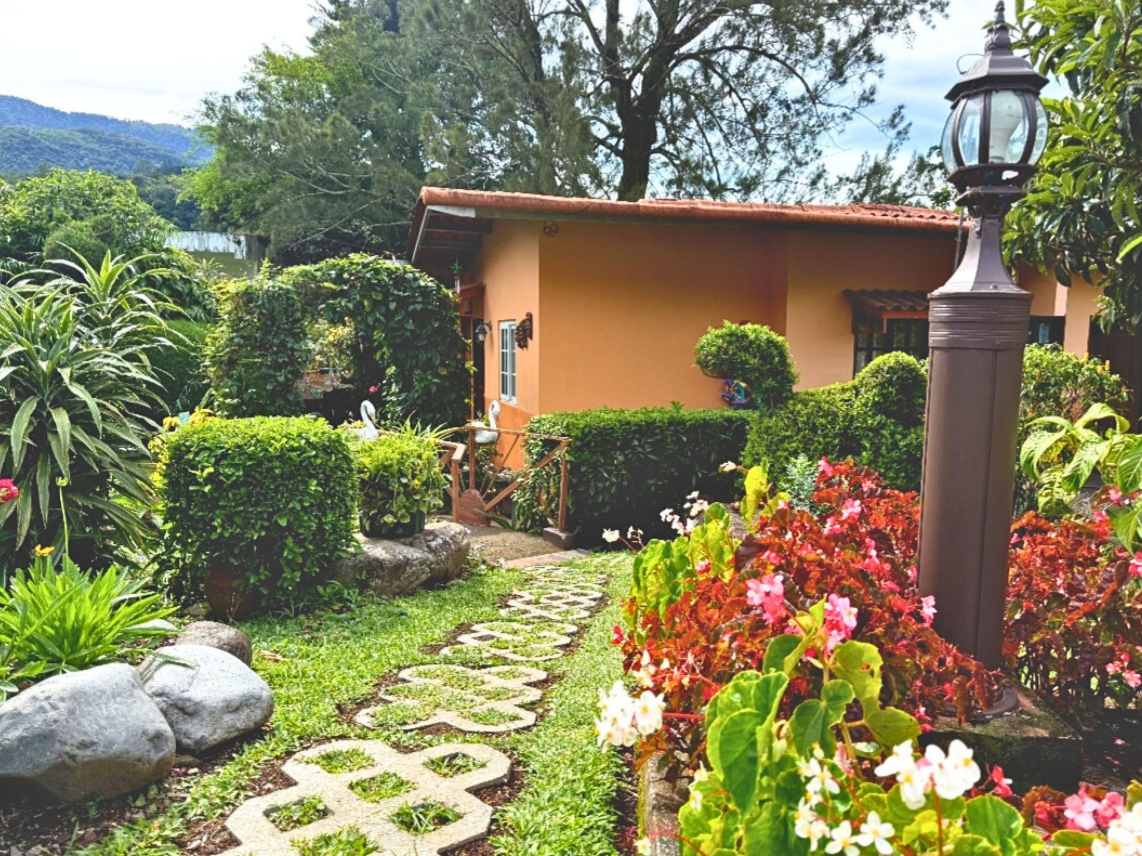 A garden pathway leading to a house with a thatched roof, surrounded by lush greenery and flowering plants.