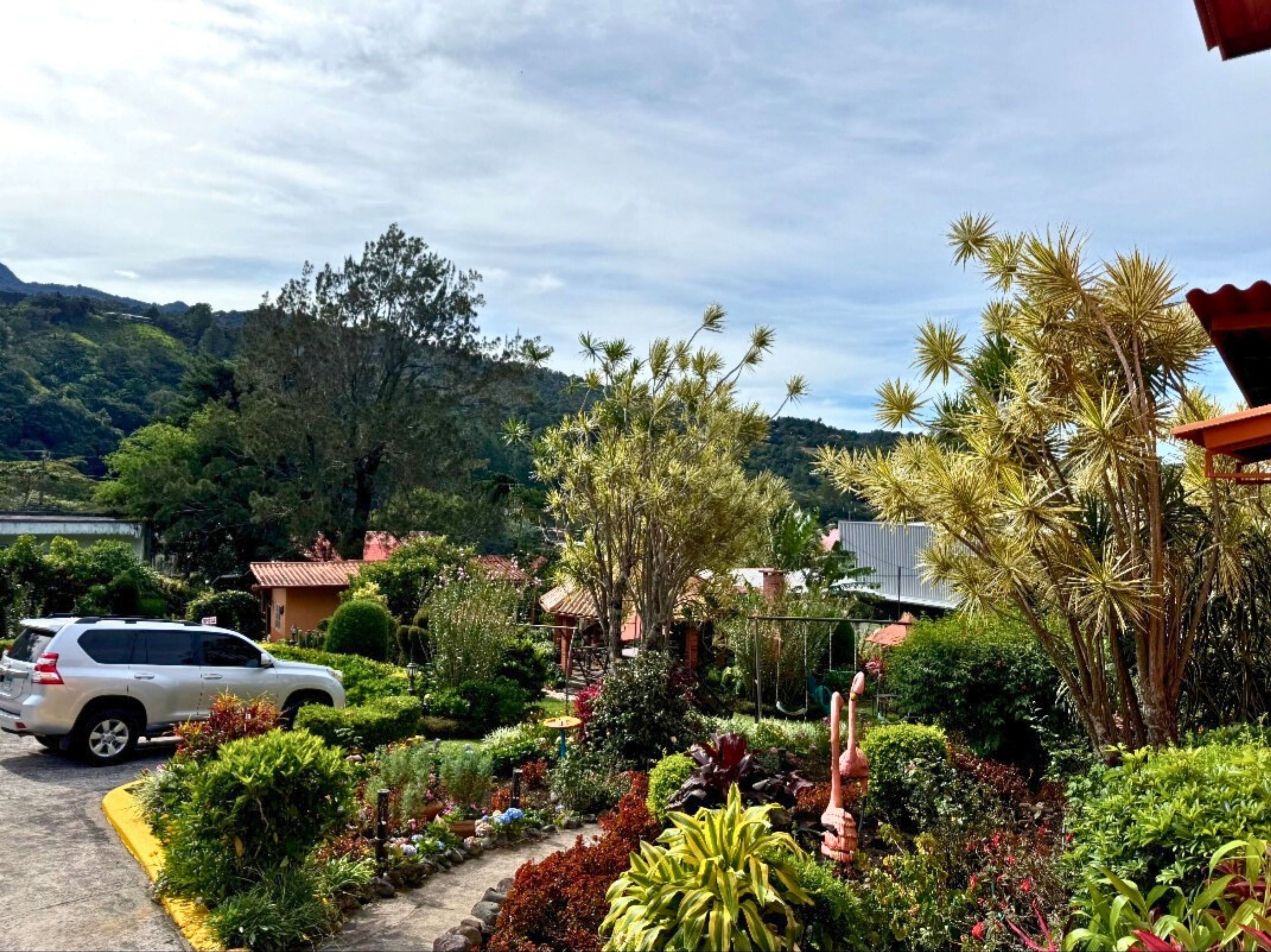 A garden with various plants and a white car parked in front of a building with a red roof.