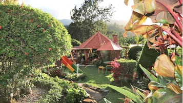 Vue sur le jardin