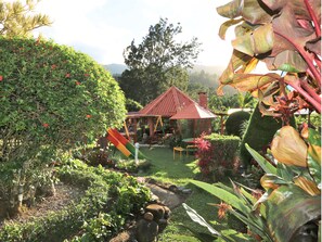 Vista al jardín